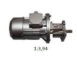 Motoreduktor Ø 125/1,5kW