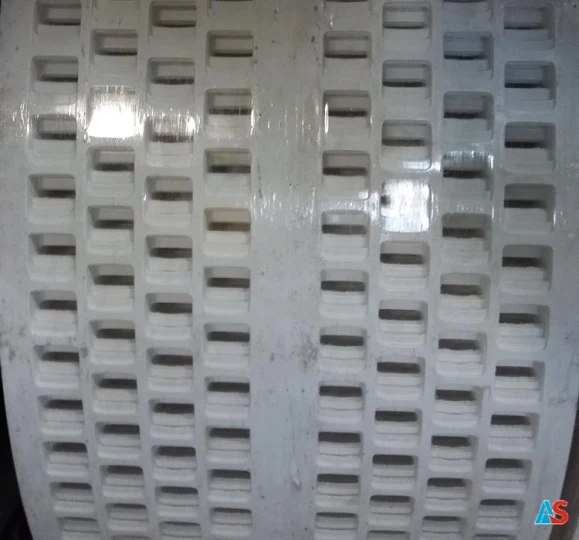 Taśma jajowa 8 PERF.