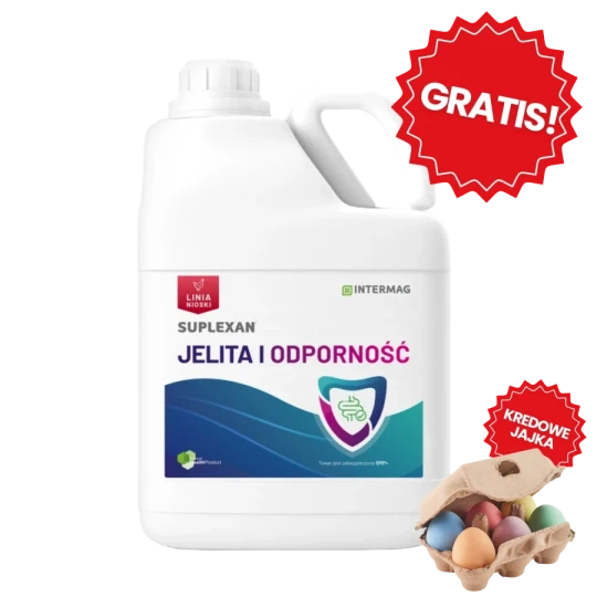 Suplexan Jelita i odporność 5L