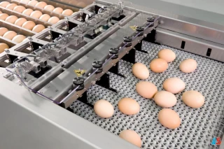 Pakowaczka Speedpack