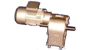 Motoreduktor M2RS 63-1800/0,25 z wałkiem dwustronnym